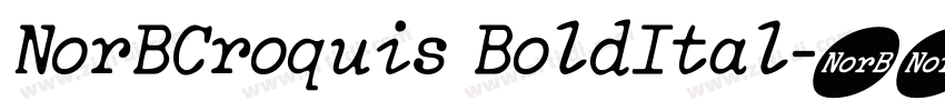 NorBCroquis BoldItal字体转换